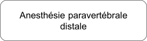 distale